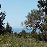 Olive Garden, Kastanida - Paxoi *