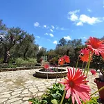 Olive Garden, Kastanida - Paxoi