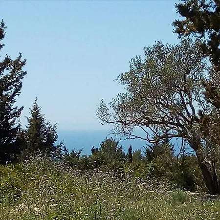 Olive Garden, Kastanida - Paxoi *