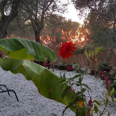 Olive Garden, Kastanida - Paxoi * Gaios