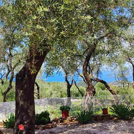 Olive Garden, Kastanida - Paxoi *