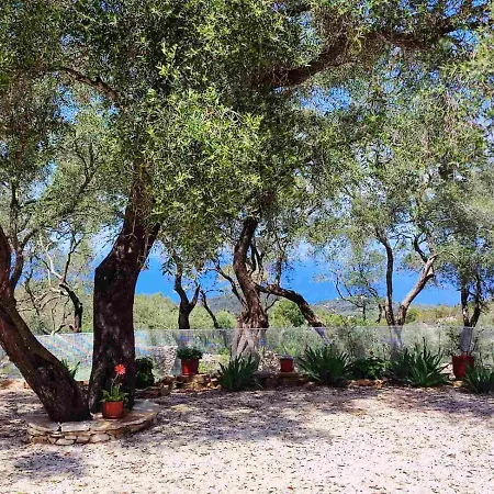 Appartement Olive Garden, Kastanida - Paxoi *