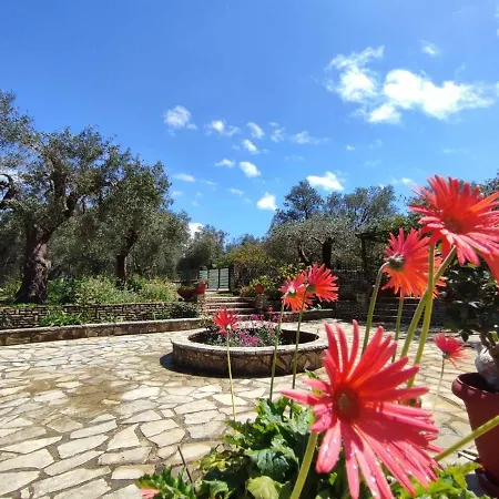 Olive Garden, Kastanida - Paxoi