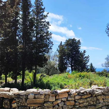 Olive Garden, Kastanida - Paxoi جايوس
