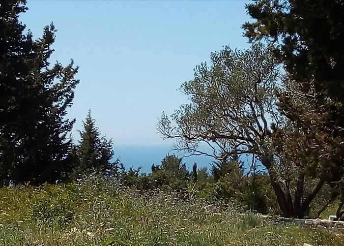 Olive Garden, Kastanida - Paxoi *