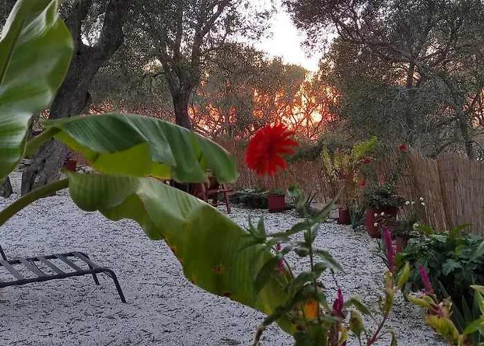 Olive Garden, Kastanida - Paxoi * Gaios