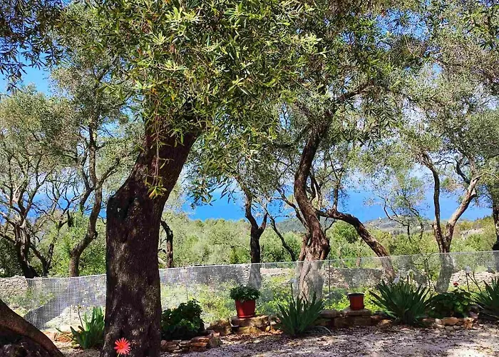 Olive Garden, Kastanida - Paxoi *