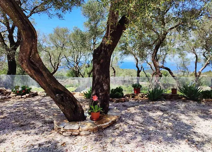 Olive Garden, Kastanida - Paxoi * Gaios
