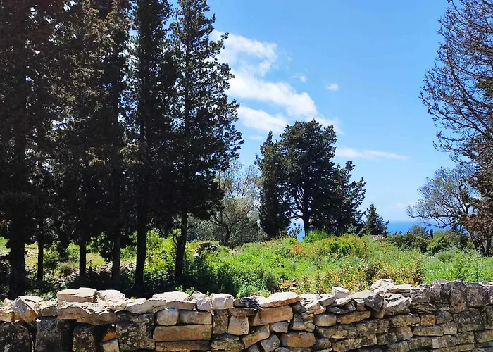 Olive Garden, Kastanida - Paxoi Gaios