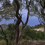 Apartamento Olive Garden, Kastanida - Paxoi *
