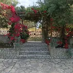 Olive Garden, Kastanida - Paxoi *