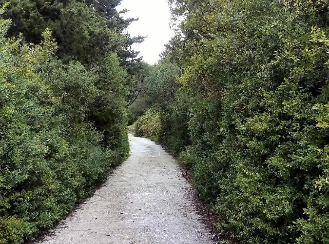 Olive Garden, Kastanida - Paxoi Appartamento